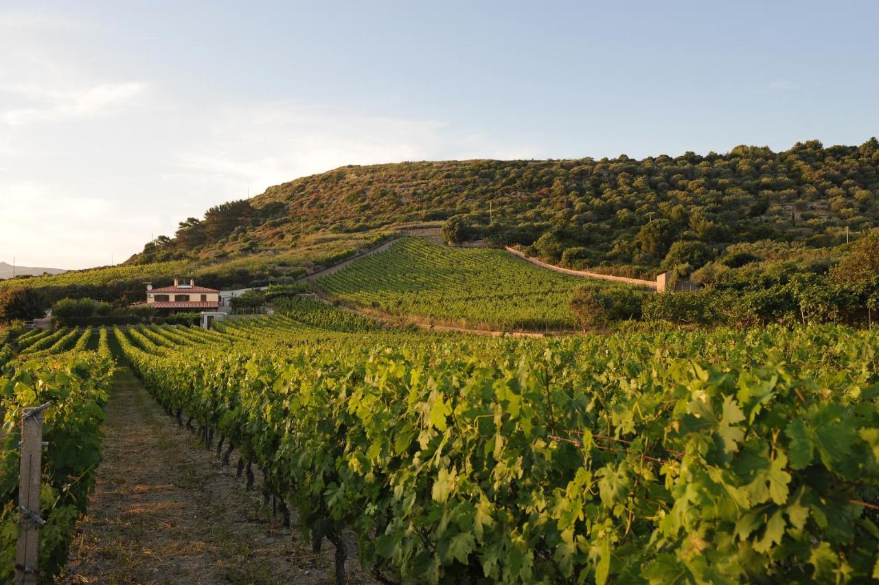 Casa Nel Vigneto Con Vista Mare Magomadas Exterior foto