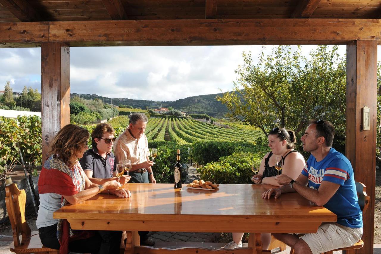 Casa Nel Vigneto Con Vista Mare Magomadas Exterior foto